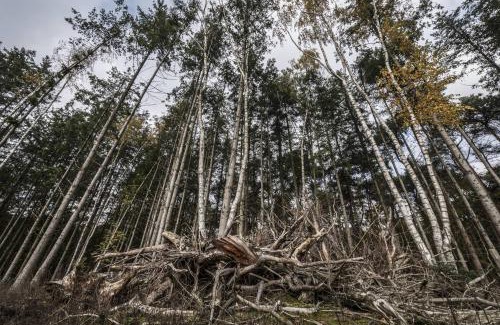 Vorden House | Veul oe thuus Hoeve Kroep an