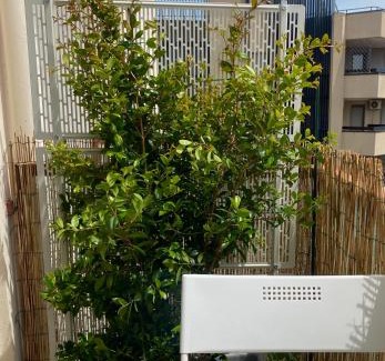 Sassari Apartment | Via Roma a un passo dalle università!