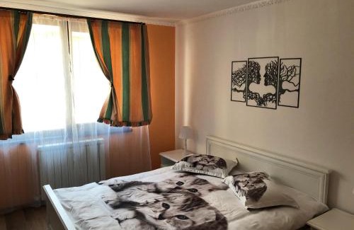 Piatra Neamt Apartment | Vibe studio