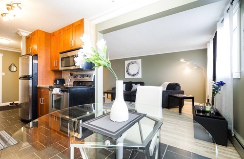 North Central Edmonton Apartment | Vibrant Escapade Bright and spacious one bedroom min to NAIT Great for students