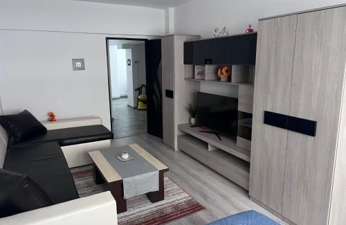 Miercurea-Ciuc Apartment | Victoria apartment Miercurea Ciuc
