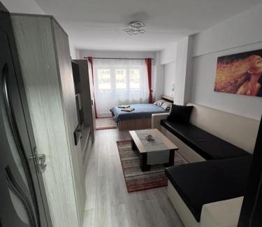 Miercurea-Ciuc Apartment | Victoria apartment Miercurea Ciuc