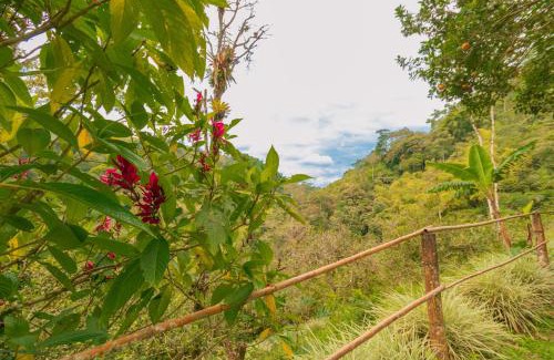 Alegrias Cabin | Victoria Ecolodge