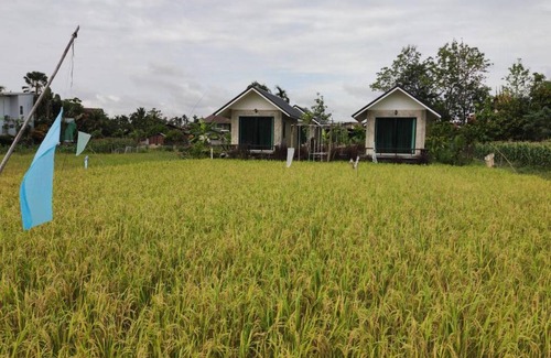 Pua Ski Chalet | Vieng pua homestays