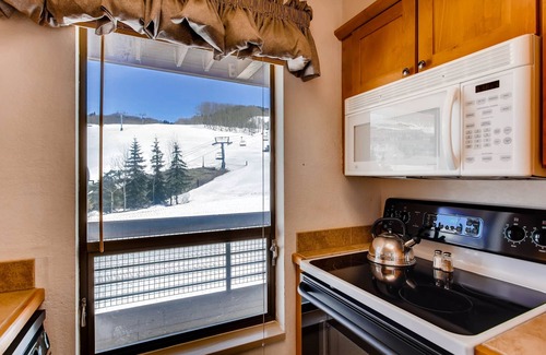 Crested Butte Condo | View Of Mt Crested Butte- 1 Br 1 Bedroom Condo - No Cleaning Fee! by RedAwning
