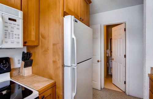 Crested Butte Condo | View Of Mt Crested Butte- 1 Br 1 Bedroom Condo - No Cleaning Fee! by RedAwning