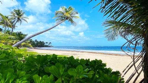Candelero Abajo Apartment | View of Paradise