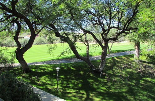 Tucson Apartment | Views of Ventana Canyon Golf course and Desert Sunsets!