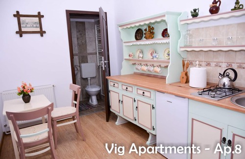 Timisoara Apartment | Vig Apartments Timisoara