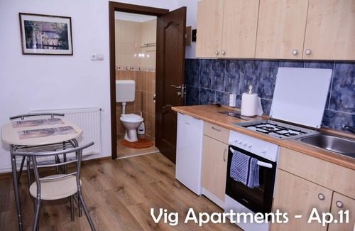 Timisoara Apartment | Vig Apartments Timisoara