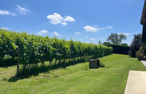 Costigliole d'Asti Apartment | Vigne dei Mastri
