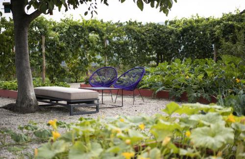 Santo Stefano Belbo Villa | Vigne Di Fagnano - Langhe, Cuneo