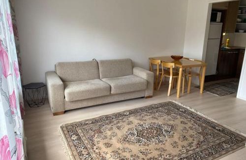 Kauhava Apartment | Viihtyisä itsepalvelumajoitus, tilava saunallinen yksiö