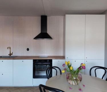 Kokkola Apartment | Viihtyisä kaksio keskuskentän vieressä