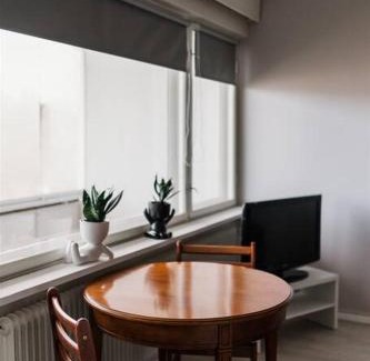 Jamsa Apartment | Viihtyisä yksiö lähellä palveluita. (Himos 7,9 km)
