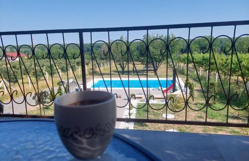 Krcedin House | Vila Aleksandar