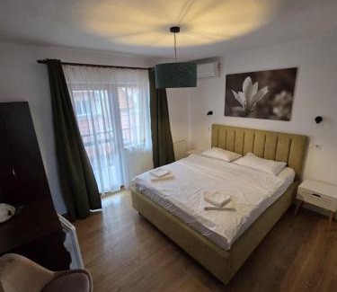 Tasnad House | Vila Alex