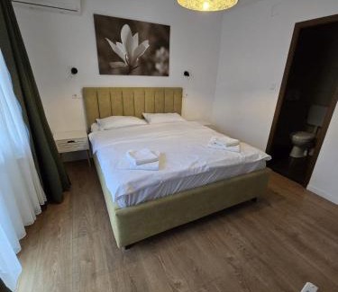 Tasnad House | Vila Alex