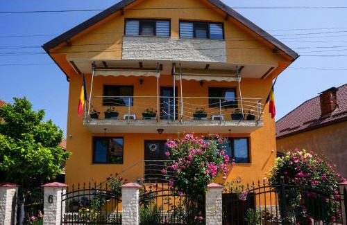 Calimanesti House | Vila Alina Calimanesti