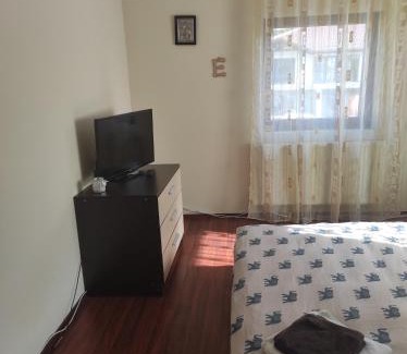 Busteni House | Vila Alma