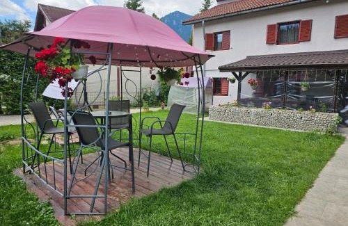 Busteni House | Vila Alma