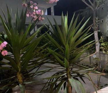 Gjerana House | Vila Almas