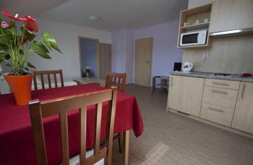 Luhacovice House | Vila Aneta