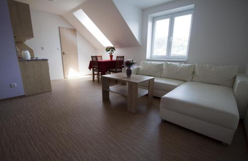 Luhacovice House | Vila Aneta