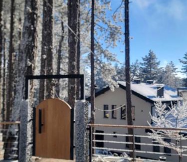 North Macedonia Apartment | Vila Aspen - Mountain View Apartments
