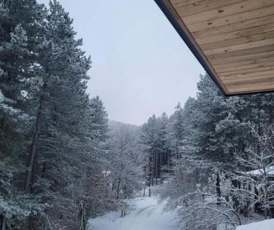 North Macedonia Apartment | Vila Aspen - Mountain View Apartments