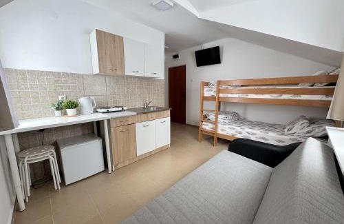 Brzece Apartment | Vila Aurora Gondola Kopaonik, 50m od Gondole Brzece