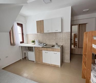 Brzece Apartment | Vila Aurora Gondola Kopaonik, 50m od Gondole Brzece