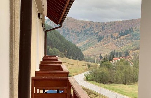 Rasinari House | Vila Briana