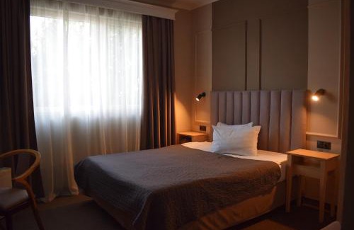 Satu Mare Hotel | Vila Camino