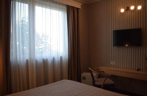 Satu Mare Hotel | Vila Camino