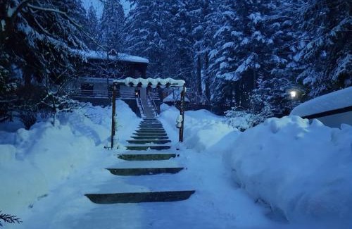 Predeal Cabin | Vila Carolyne