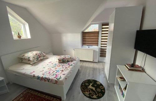 Calimanesti House | Vila Castelana
