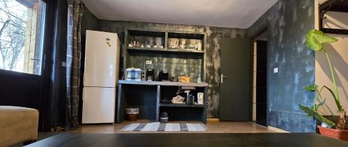 Curtea De Arges House | Vila Curtea de Arges