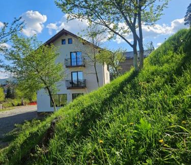 Zarnesti House | Vila de Sub Pădure