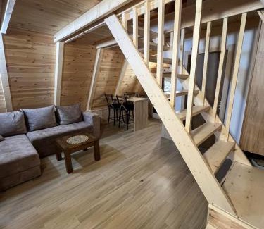 Zabljak House | Vila Djordje Žabljak