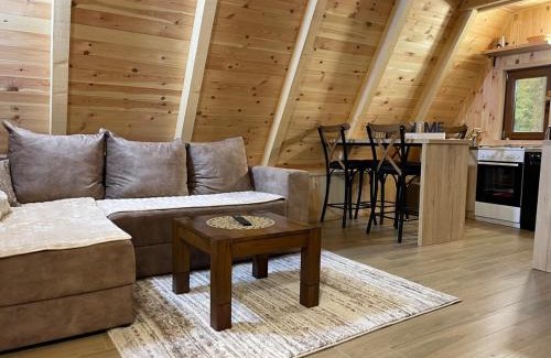 Zabljak House | Vila Djordje Žabljak