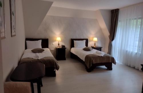 Slanic-Moldova House | VILA DOBRU
