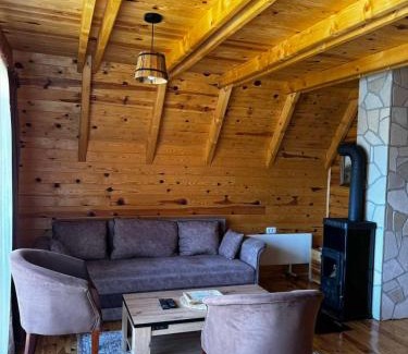 Razvrsje Apartment | Vila Durmitorska bajka
