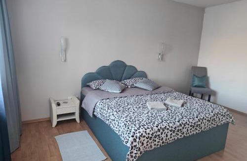 Brasov House | Vila Ekooos