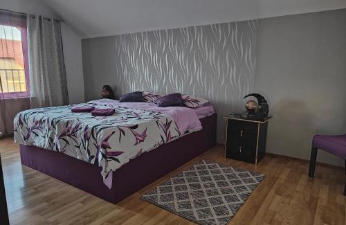 Brasov House | Vila Ekooos