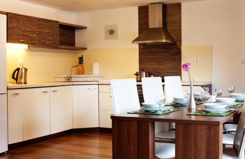 Jesenik Apartment | Vila Element