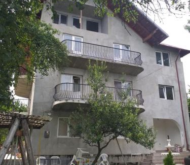 Breaza de Jos House | Vila Elena si Ionut