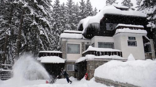 Cioplea Ski Chalet | Vila Filip