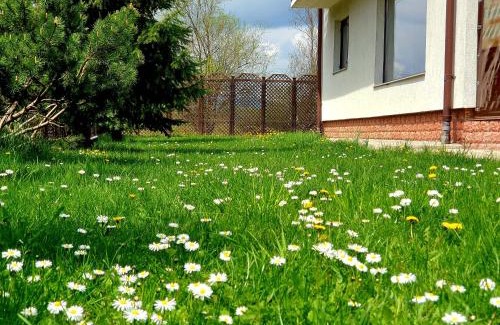 Gura Humorului Villa | Vila Flora în Gura Humorului
