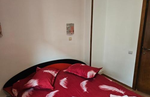 Busteni House | Vila Foișor